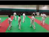 Nihon Taî jitsu 1er kata en groupe