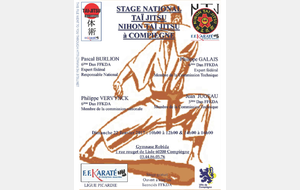stage commun Nihon Taï-jitsu ET Taï-jitsu