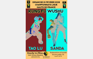 Championnat Kung Fu Wushu