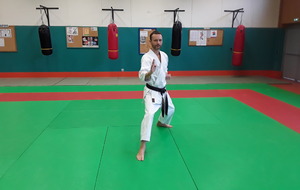 sans déplacer les jambes, garde (fléchir jambe arrière)