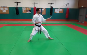 reculer jambe droite, position kokutsu, shuto gauche