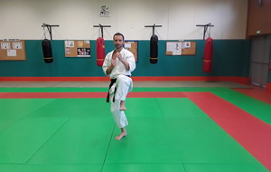 préparation mae geri gauche (conseil: garder poing gauche en kamae à la hanche)