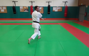 détail pivot (jambe arrière qui se déplace)