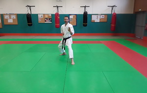 reculer en garde vue de face