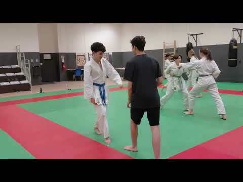 enchainement mae geri-tsuki en déplacement position zenkutsu dachi