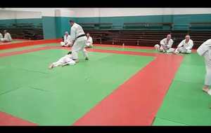 Randori 2