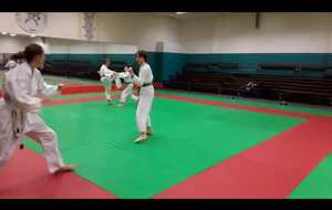 randori 1