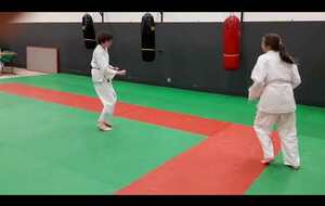 randori bis