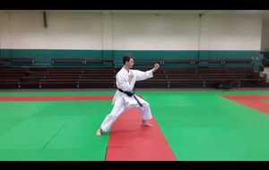 Nihon Taî jitsu 1er kata de profil vitesse normale
