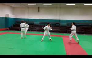 randori 1