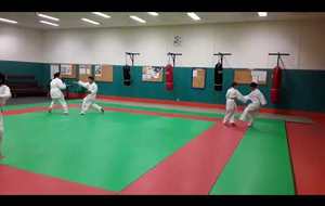 randori 2