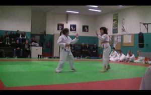 Techniques : Lucie-Elyse