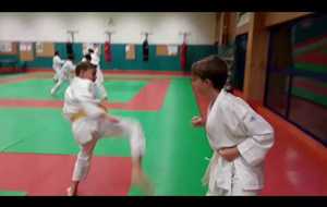 randori 3