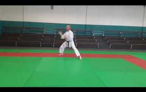 Nihon Taï-jitsu 3 ème kata (vitesse normale)