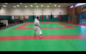 Nihon Taî jitsu 1er kata de face vitesse normale