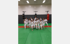 Karaté/nihon taï-jitsu 10-14ans
