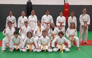karaté - Nihon Taï Jitsu 10 / 14 ans
