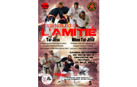 Stage de l'amitié