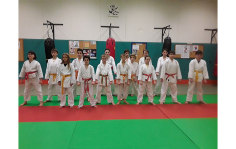 cours fevrier 2017 10-14 ans et adultes