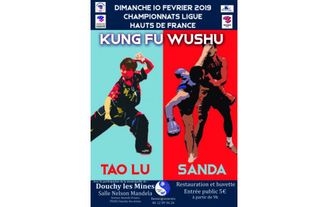 Championnat Kung Fu Wushu