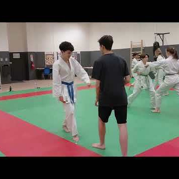 enchainement mae geri-tsuki en déplacement position zenkutsu dachi