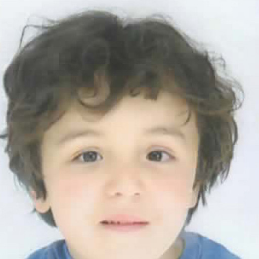 Ilian Habi